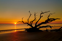 Sunrise on Driftwood Beach