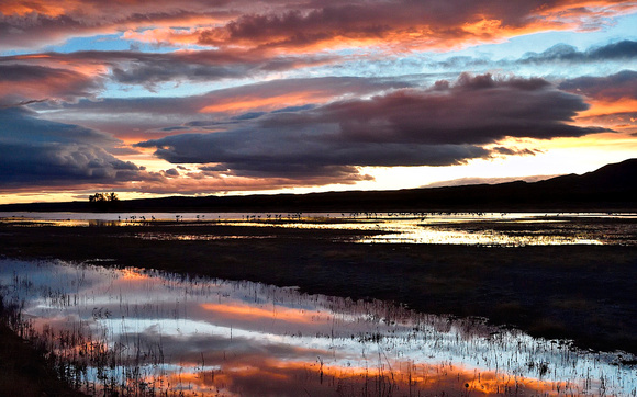 Bosque Sunset 2