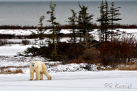 Churchill Canada